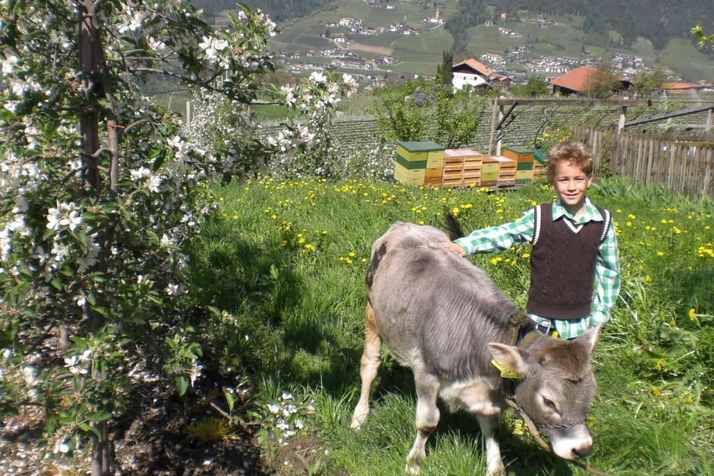 Krebishof Agriturismo Schenna Bagian luar foto